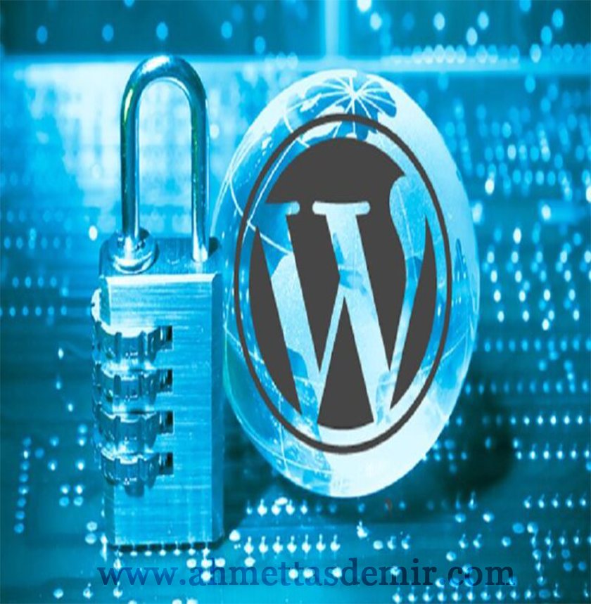 WordPress vs Custom Website: Which Is Right for You?
