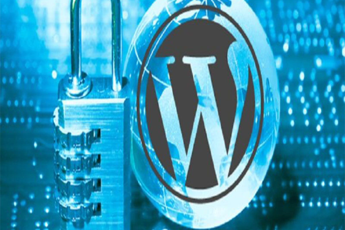 WordPress vs. Custom Website: Which Is Right for Your Business?