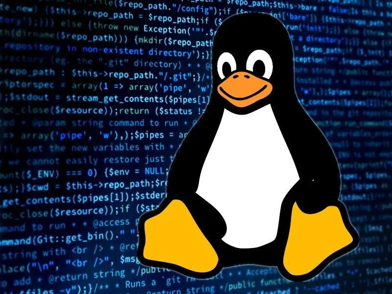 Linux Beginner’s Guide!